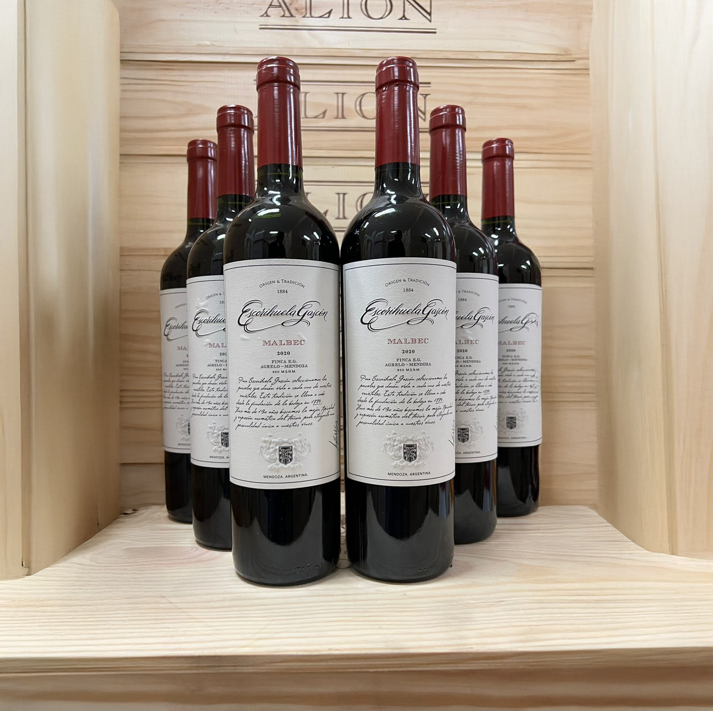 Escorihuela Gascón Malbec 💠6 uds