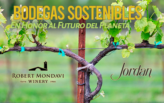 🌱Bodegas Sostenibles: En Honor al Futuro del Planeta🍇🌎