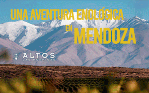 Una Aventura Enológica en Mendoza: Altos Las Hormigas