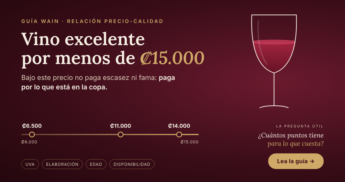 ¿Excelente Vino por menos de 15,000? Una Guìa para Discernir
