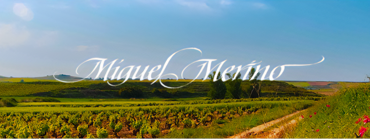 Miguel Merino