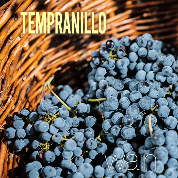 Tempranillo