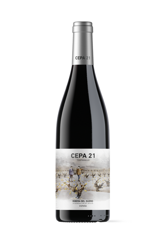 Souche 21, Ribera del Duero, Rouge