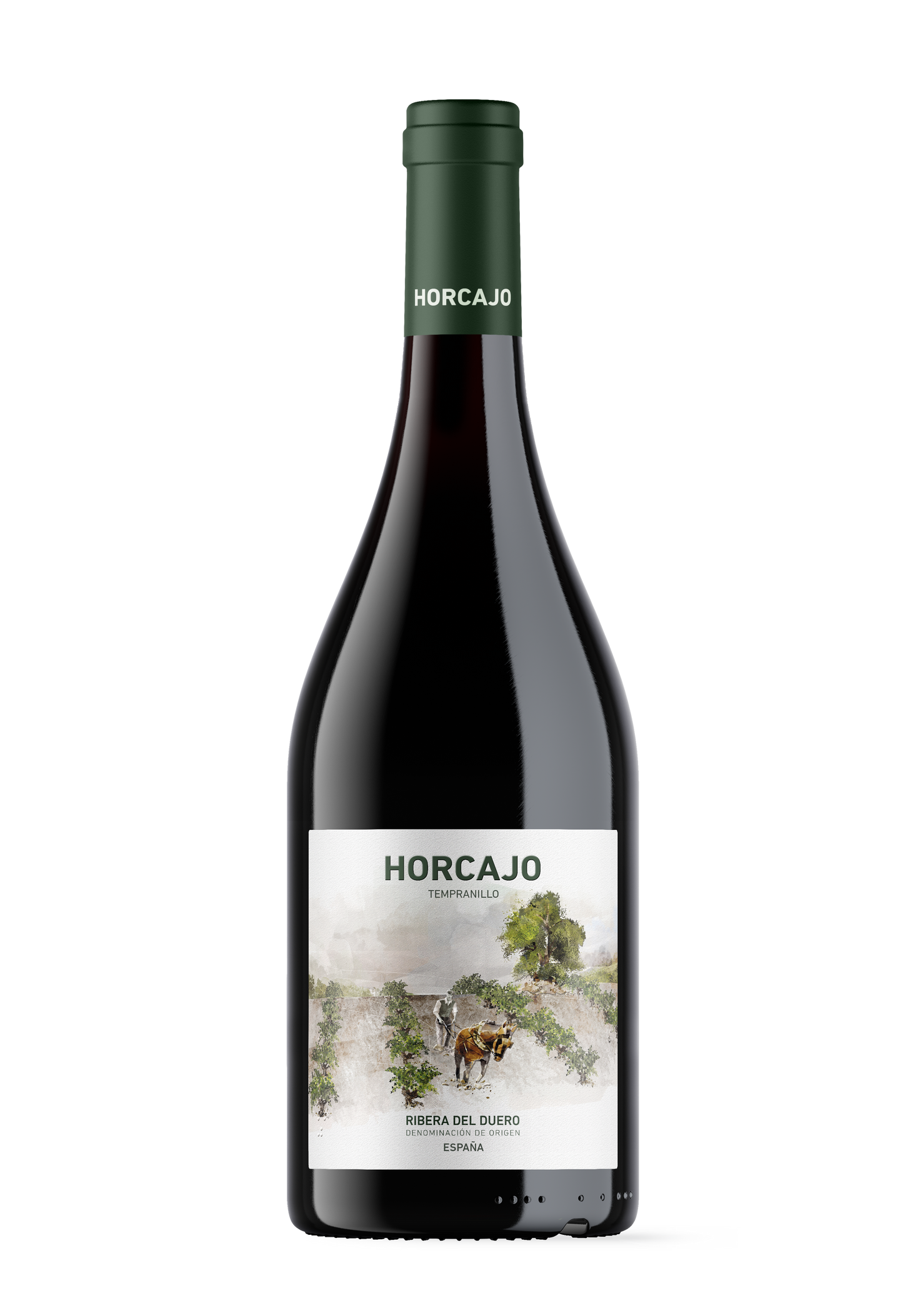 Strain 21 Horcajo Ribera del Duero