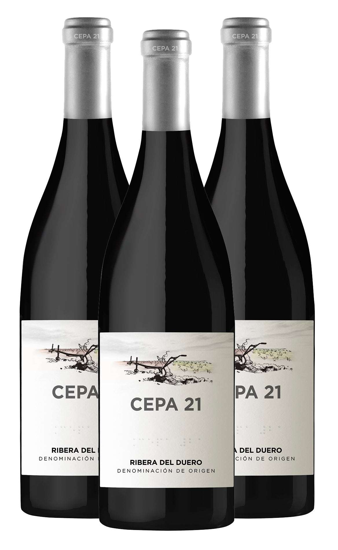 PROMO: 3 x Cepa 21, Ribera del Duero, Tinto [23.8%Off] Ribera del Duero España , Vinos Costa Rica