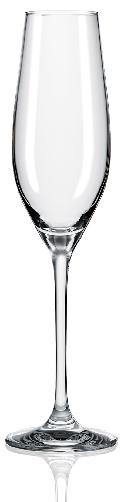 Champagne Glass (Flute) 6 oz | Wain.cr